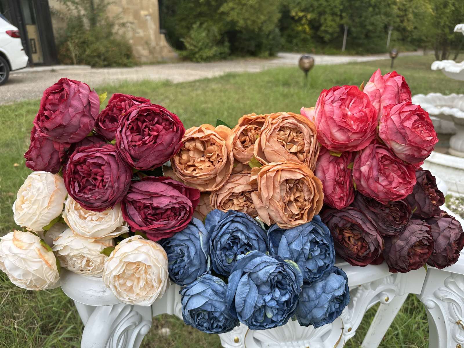 Градинска роза 2