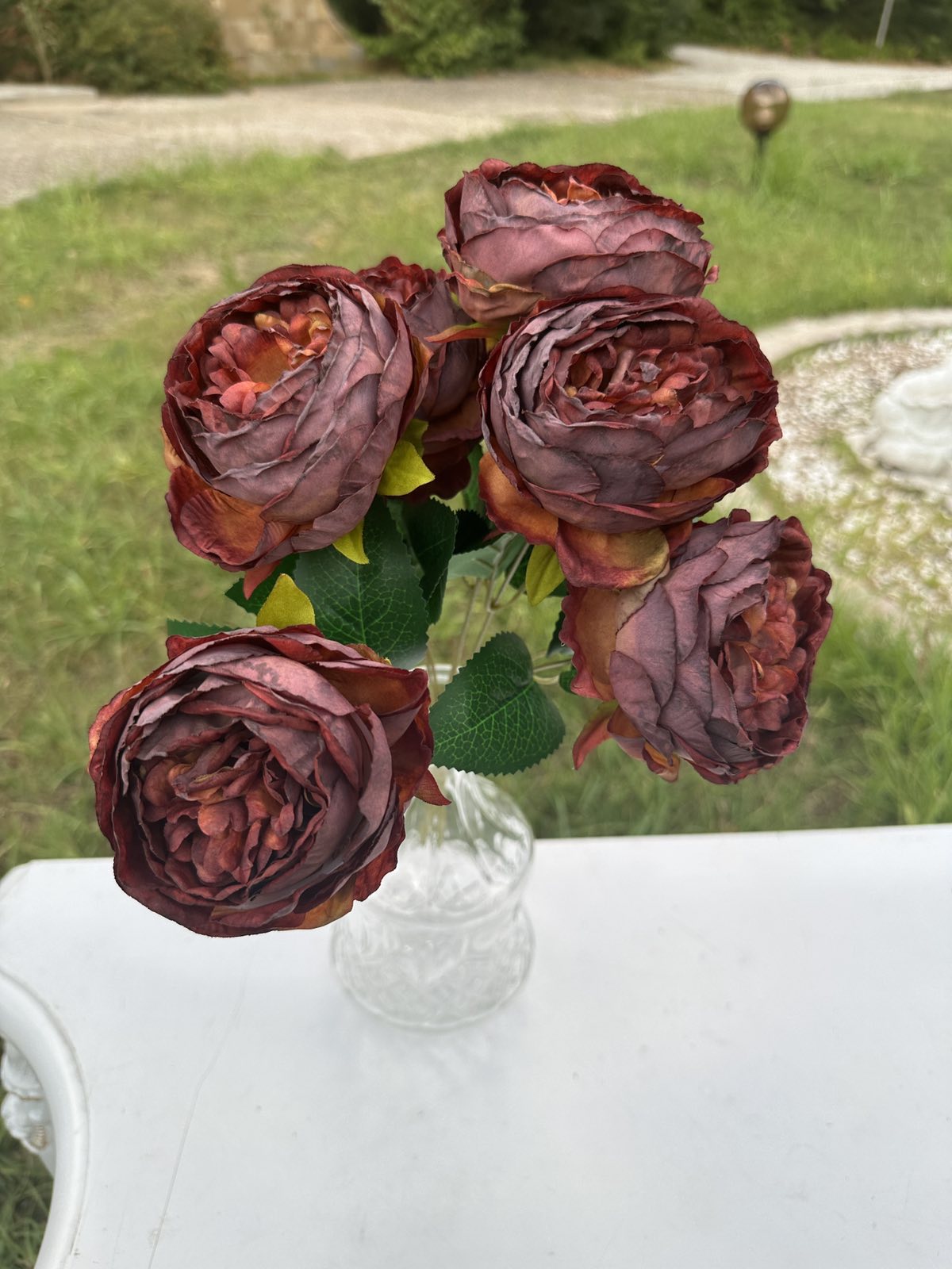 Градинска роза 2