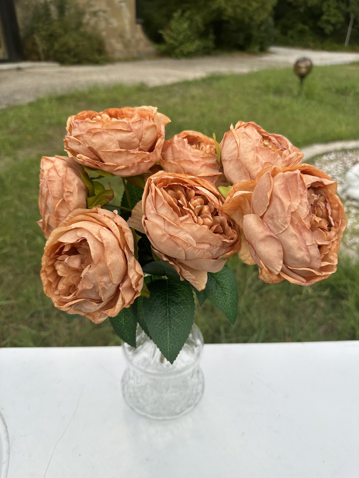 Градинска роза 2