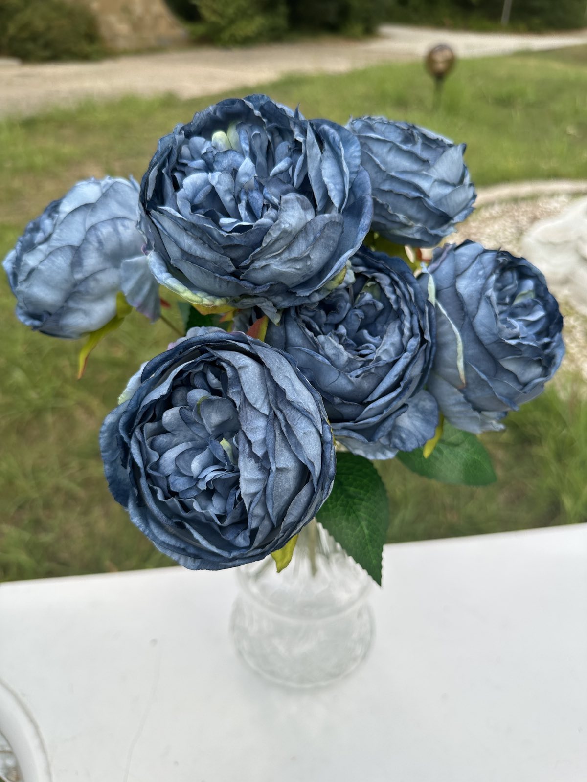 Градинска роза 2