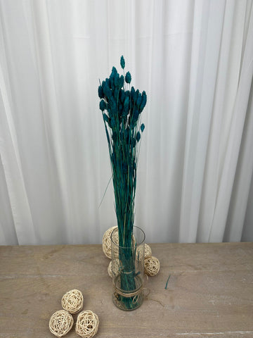 Суха трева грозд синя