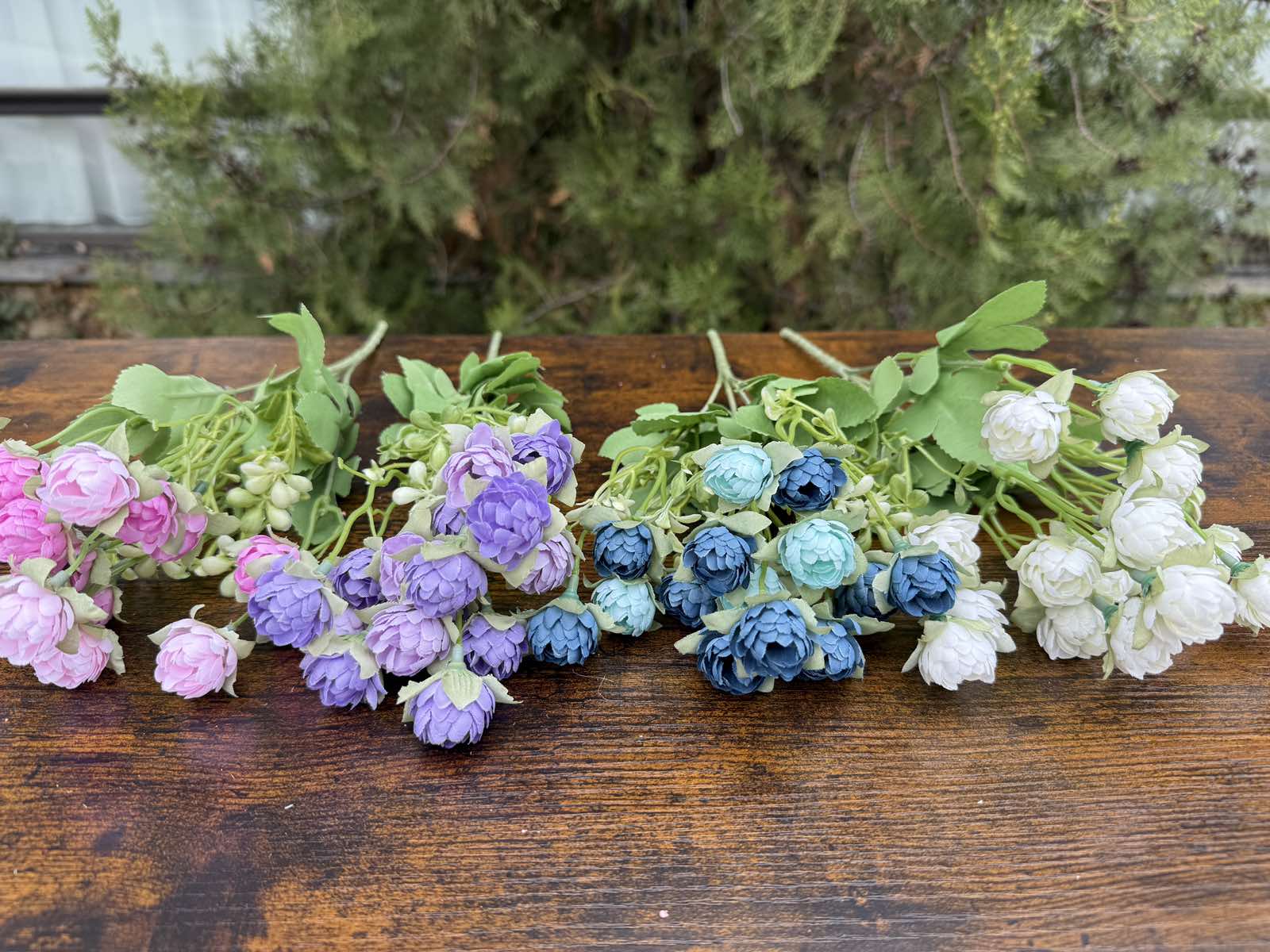 Двуцветни мини хризантемки