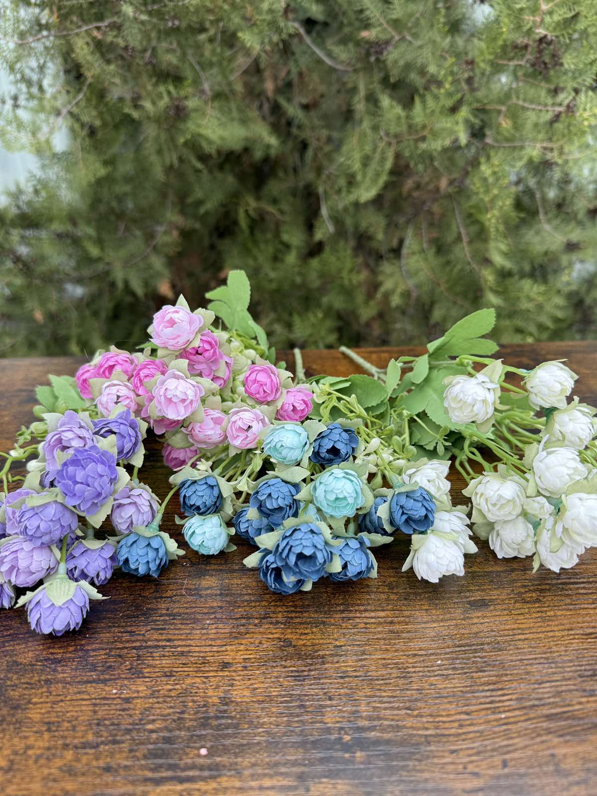 Двуцветни мини хризантемки