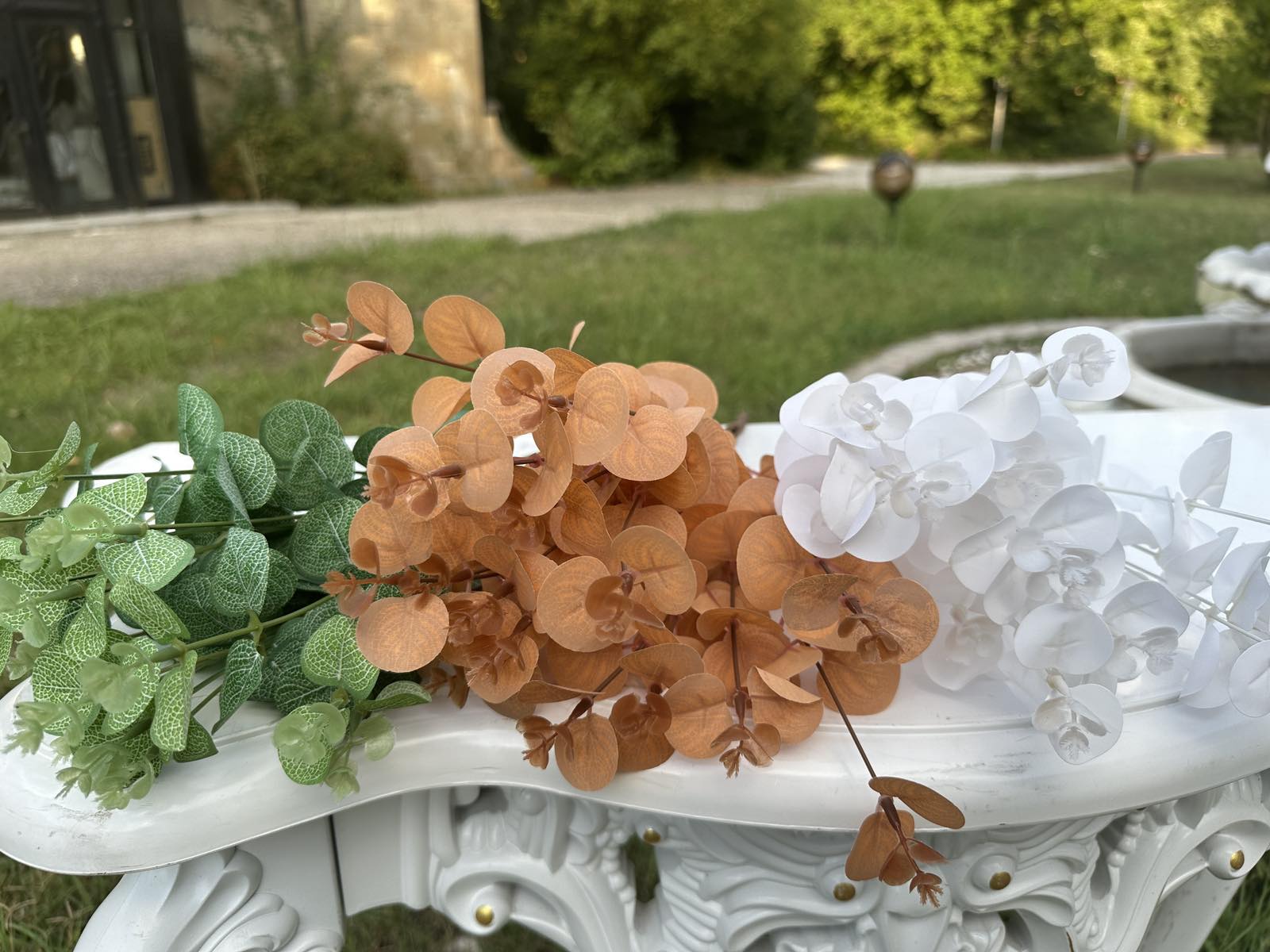 Зелен евкалипт стрък