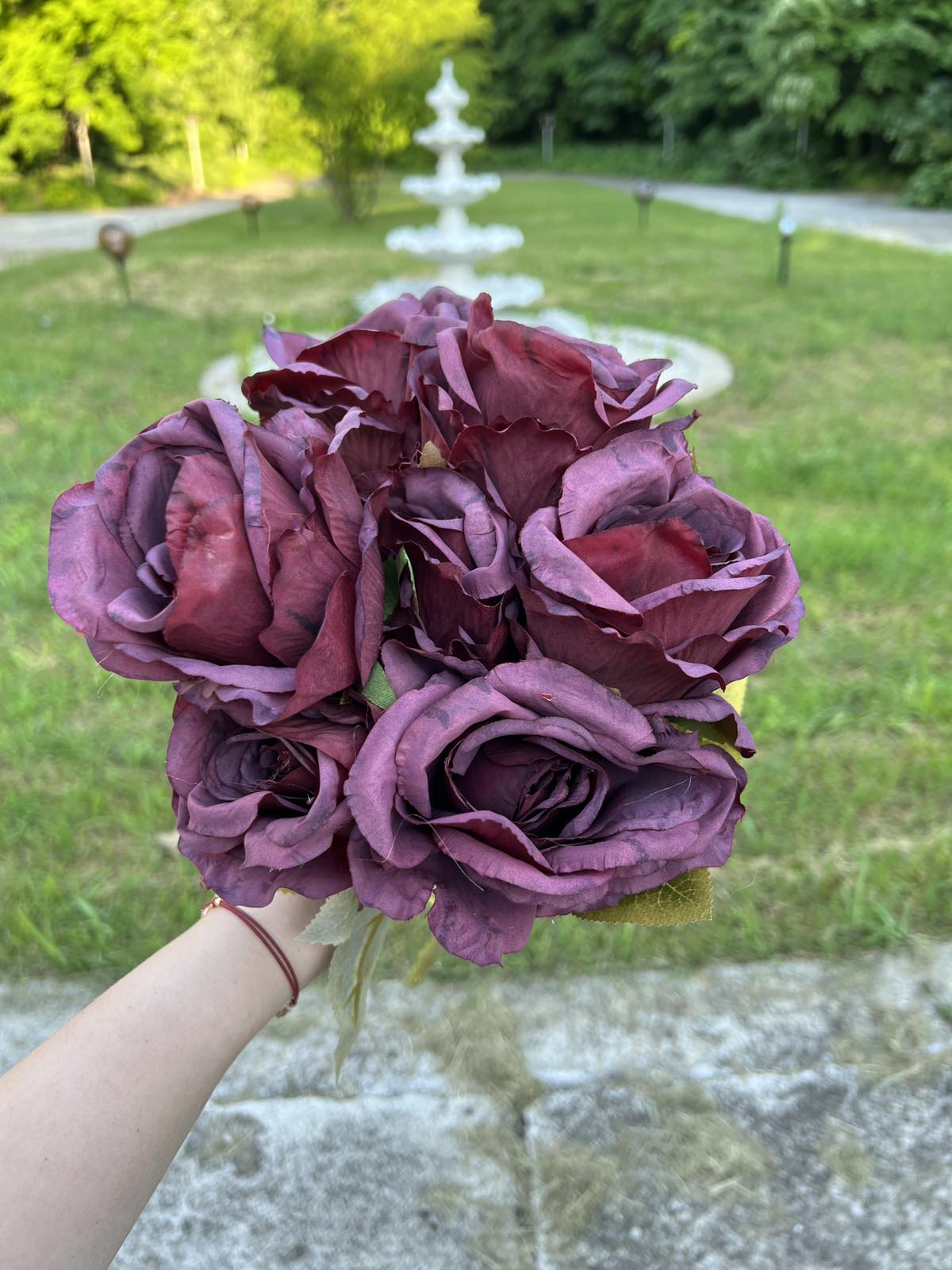 Едра роза 7 глави бордо