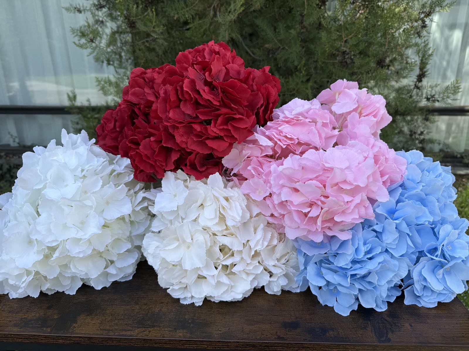 Едра хортензия червена