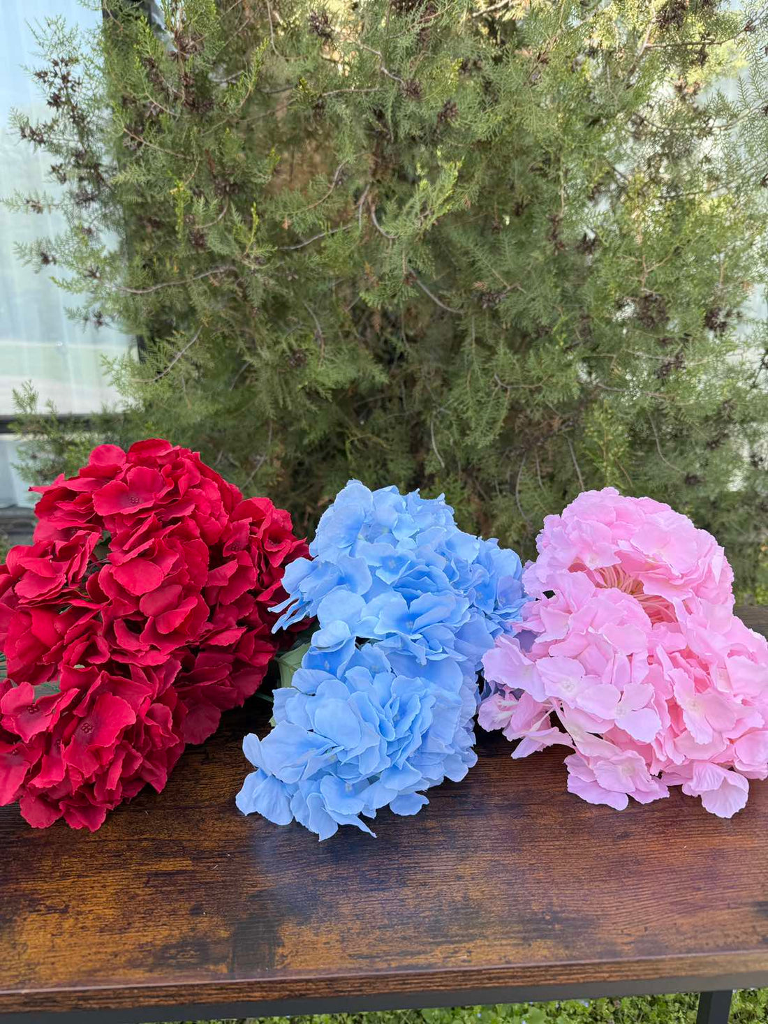 Едра хортензия червена