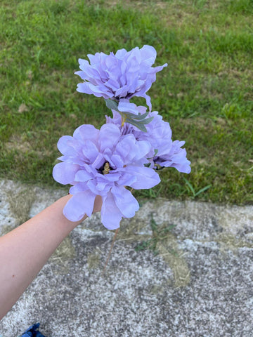 Кичести цветя клонка лилаво