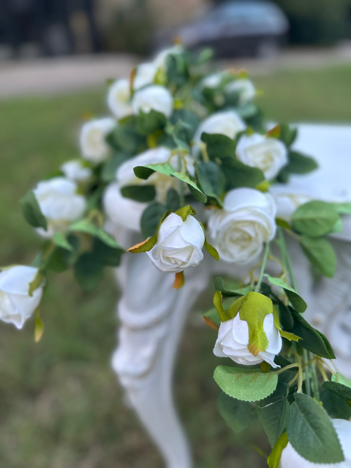 Висяща каскадна роза