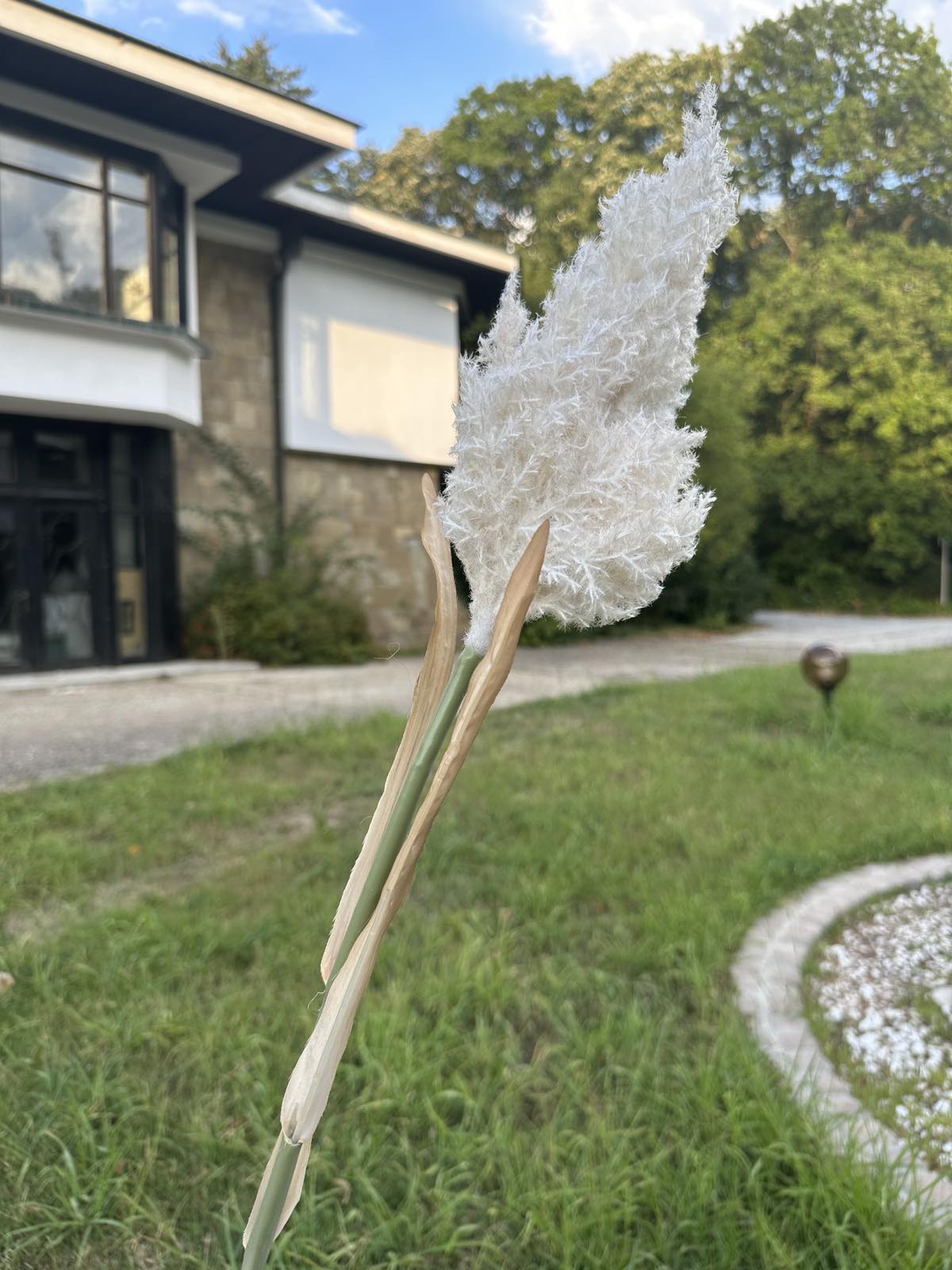 Зеленина лисича опашка