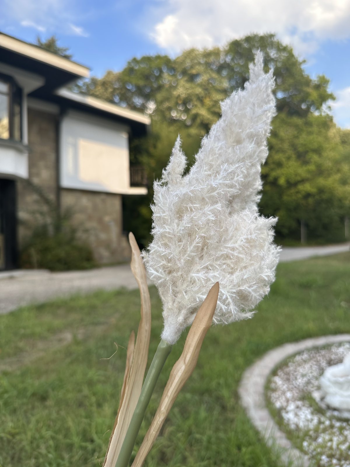 Зеленина лисича опашка