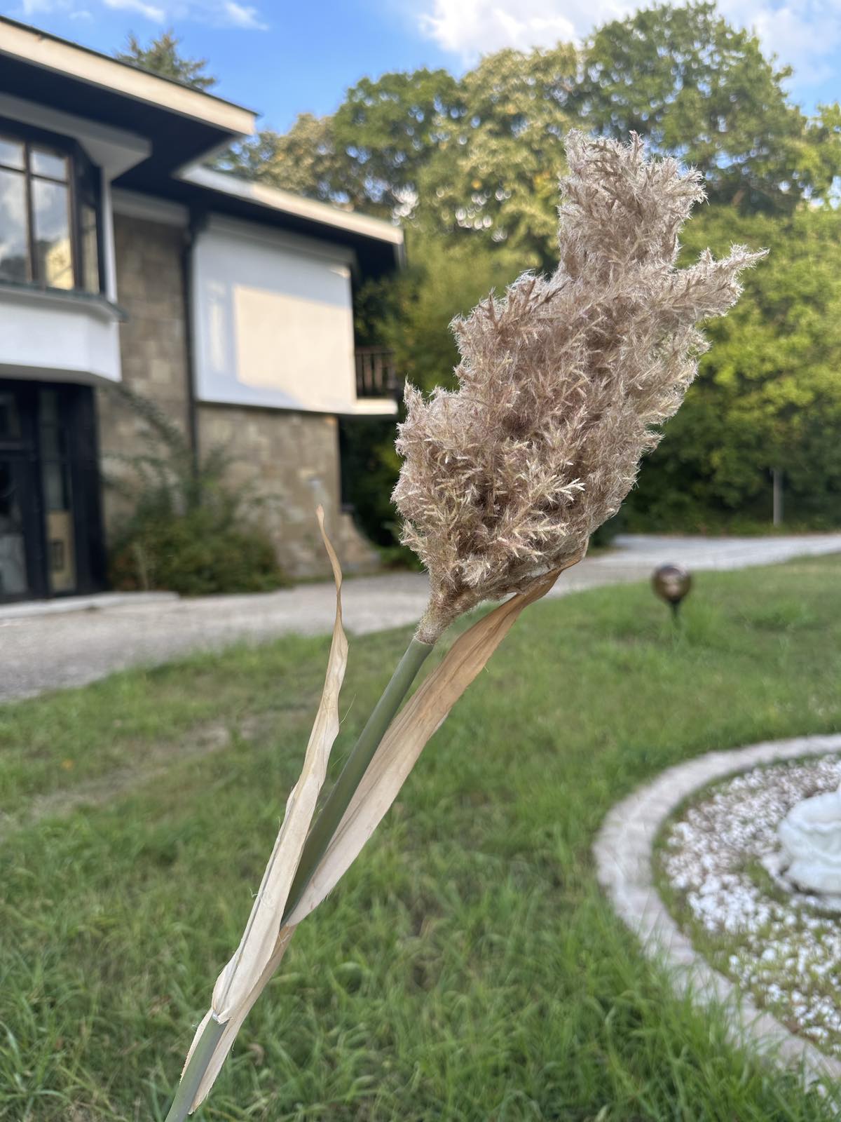 Зеленина лисича опашка