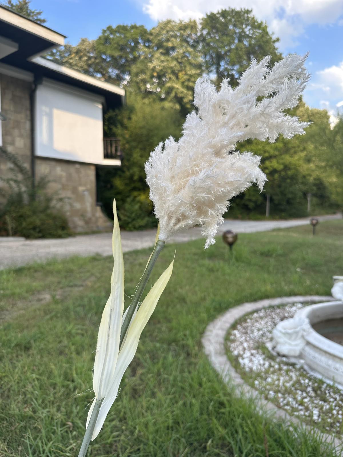 Зеленина лисича опашка