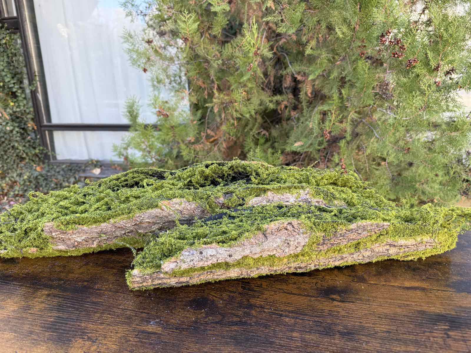 Зеленина голяма лодка