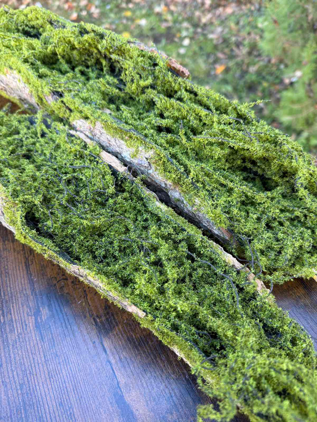 Зеленина малка лодка