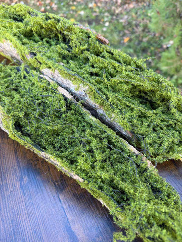 Зеленина малка лодка