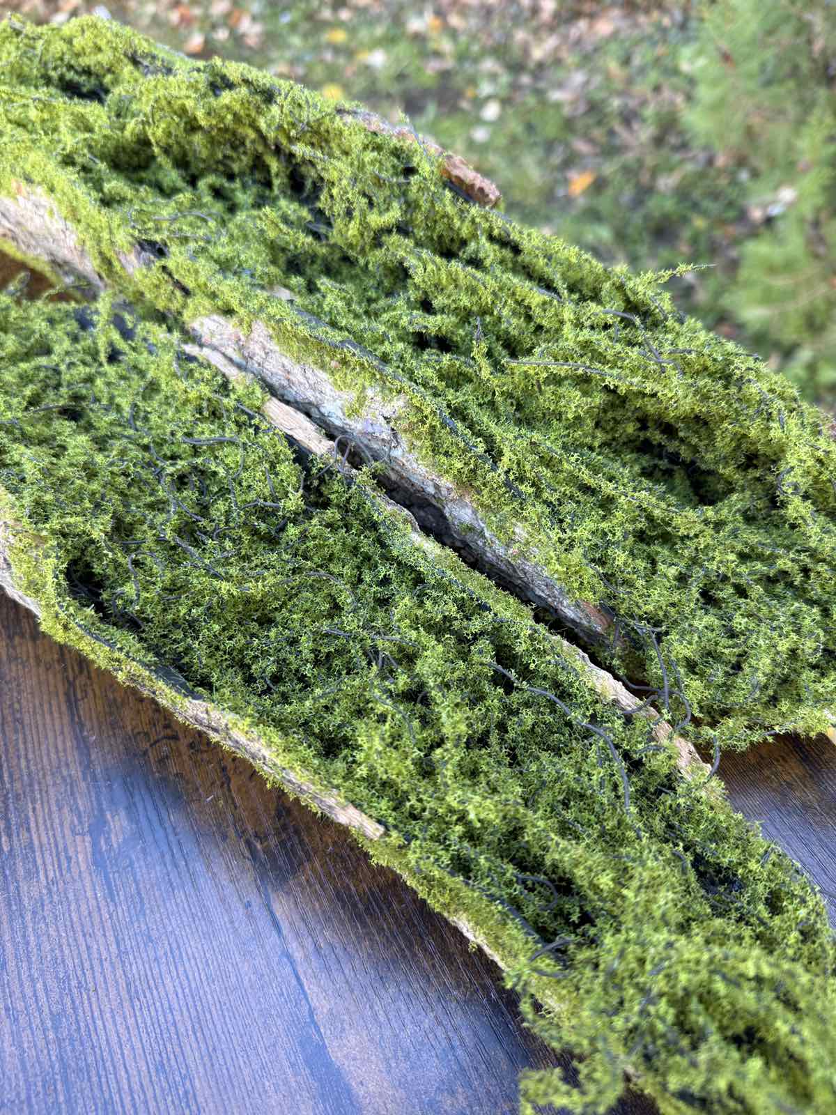 Зеленина голяма лодка