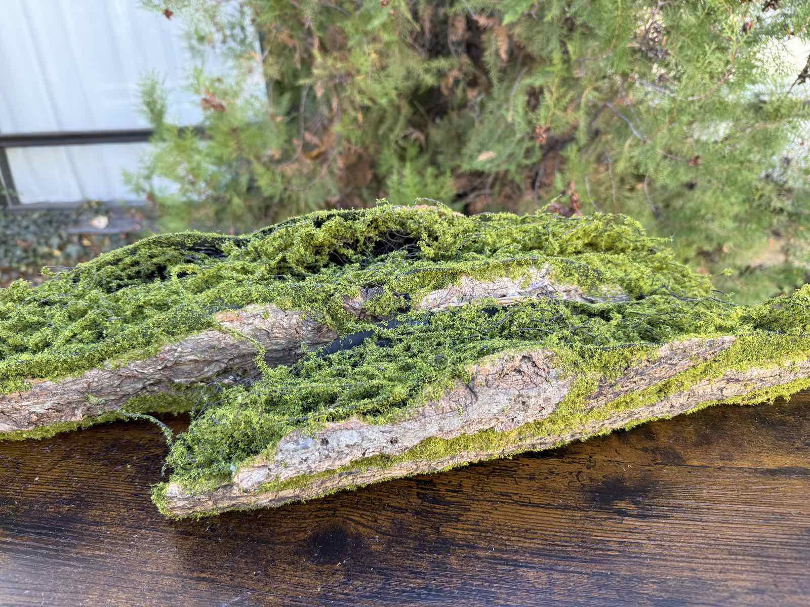 Зеленина малка лодка