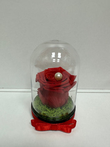 Вечна роза в мини купол
