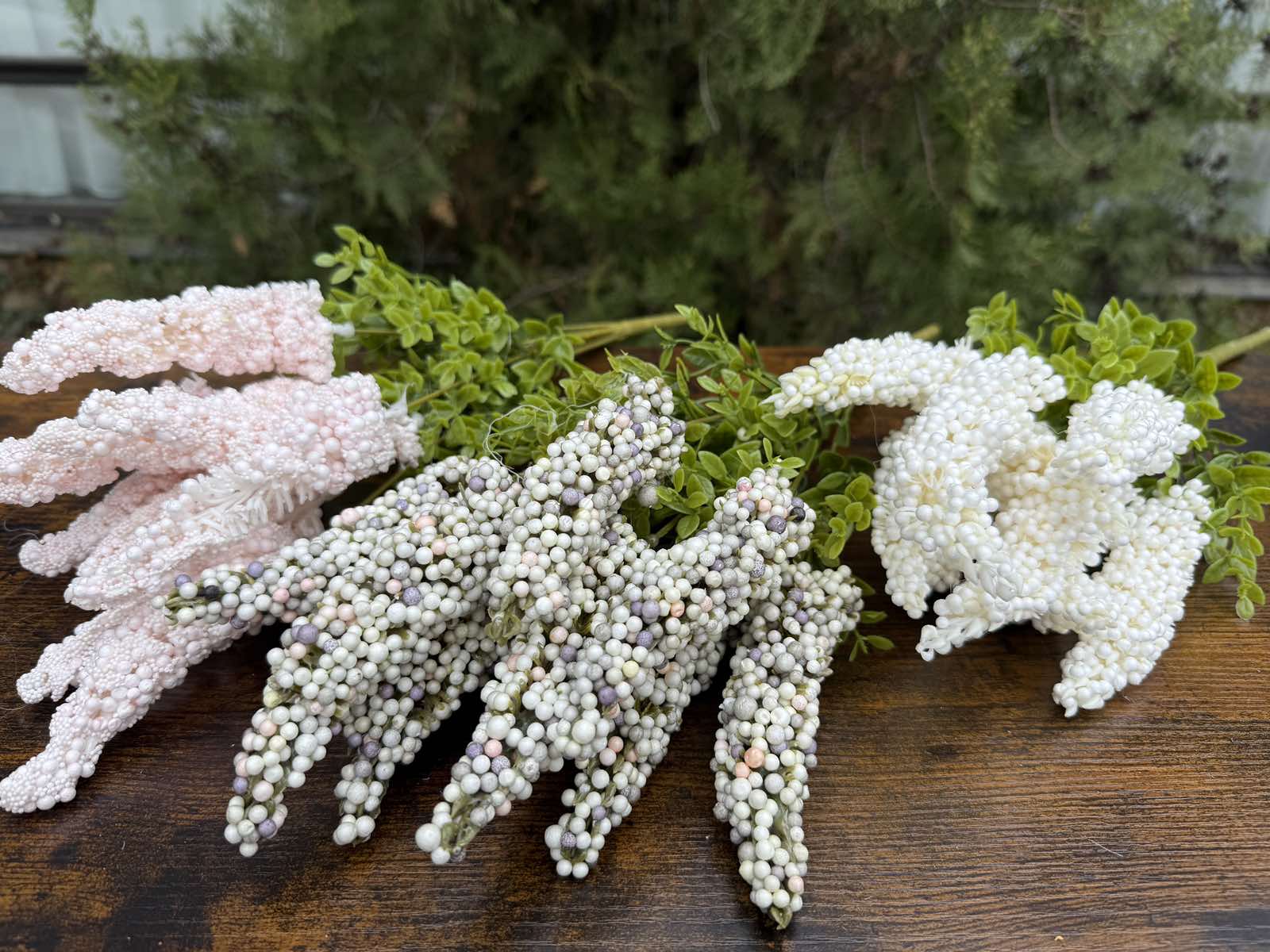 Папур с топченца