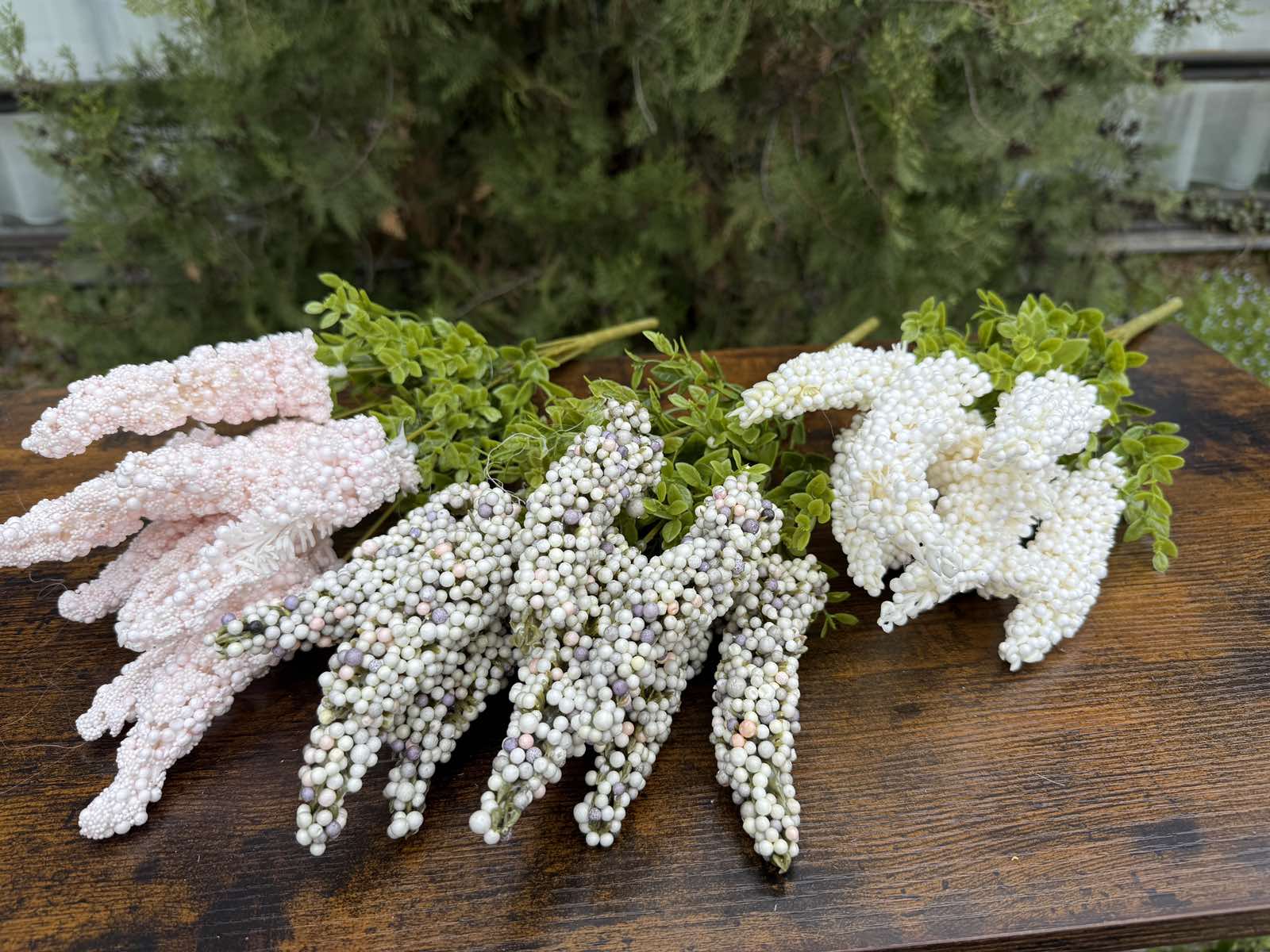 Папур с топченца