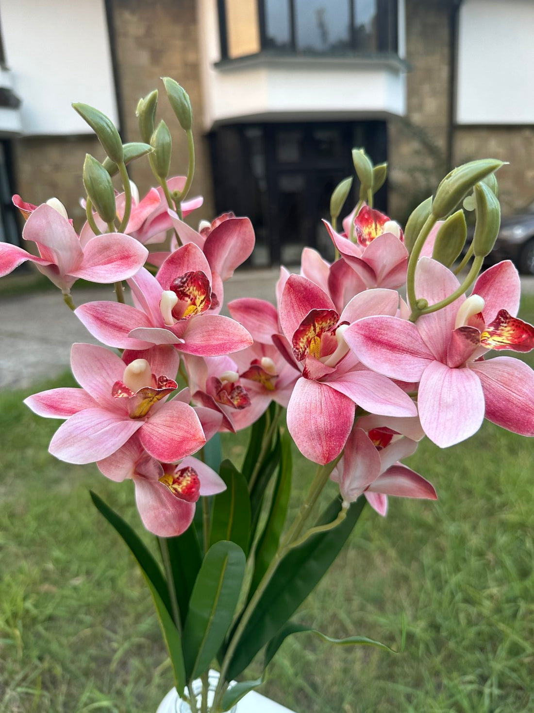 Орхидея китка