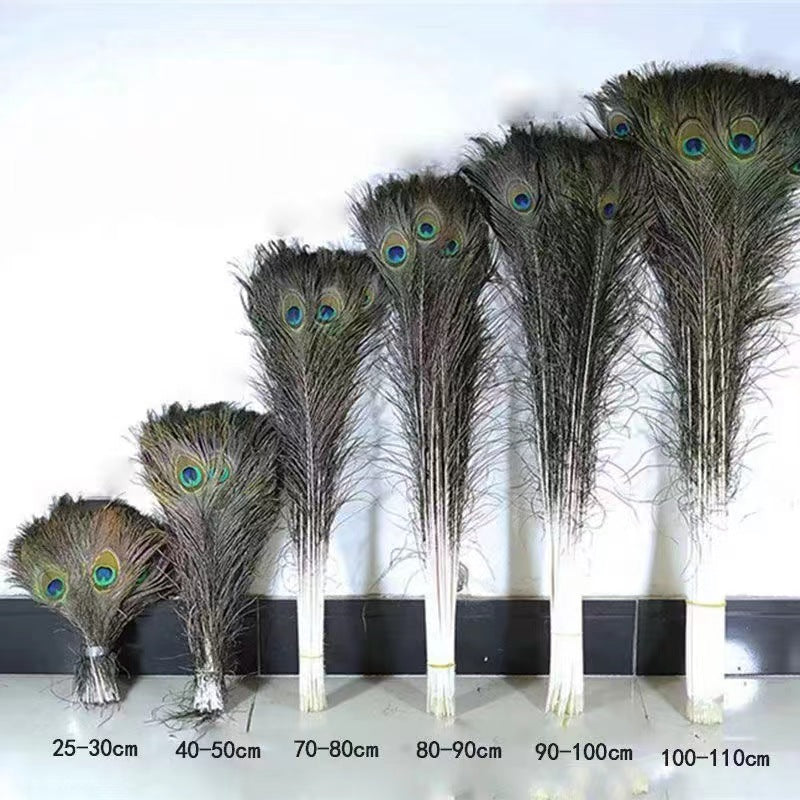 Паунови пера 70-80 см