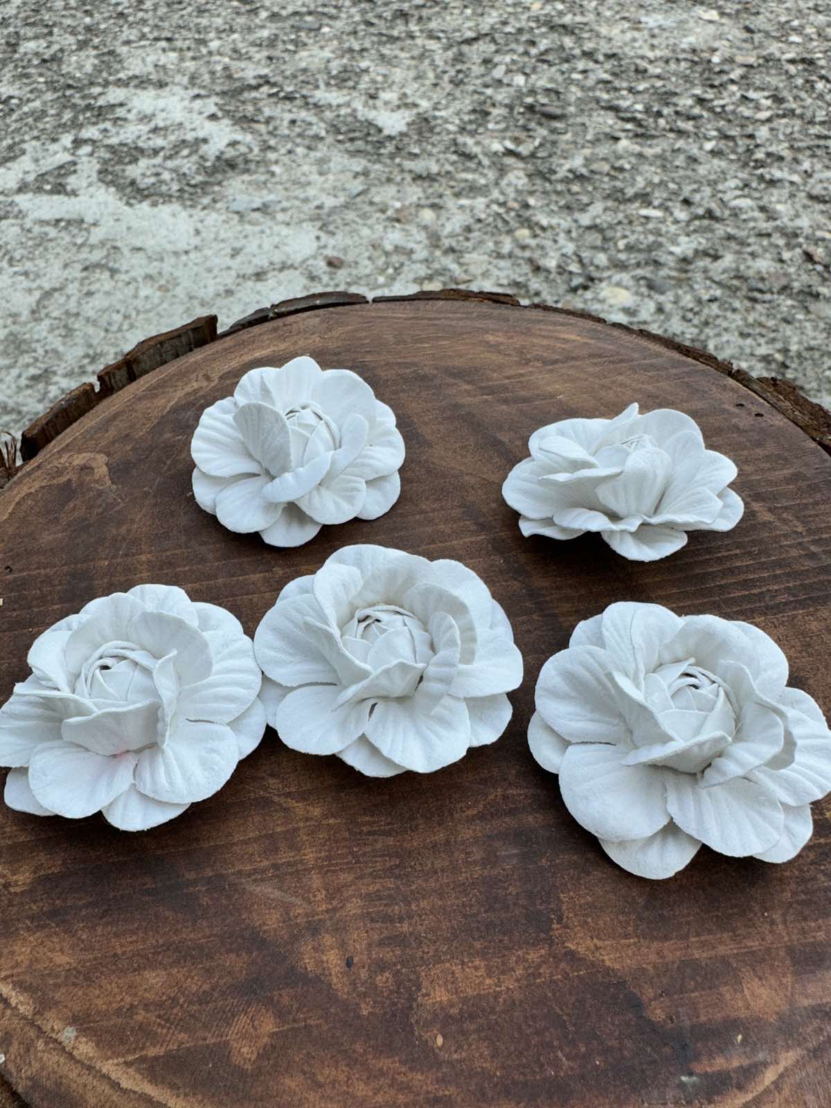 Разцъфнала розичка главичка