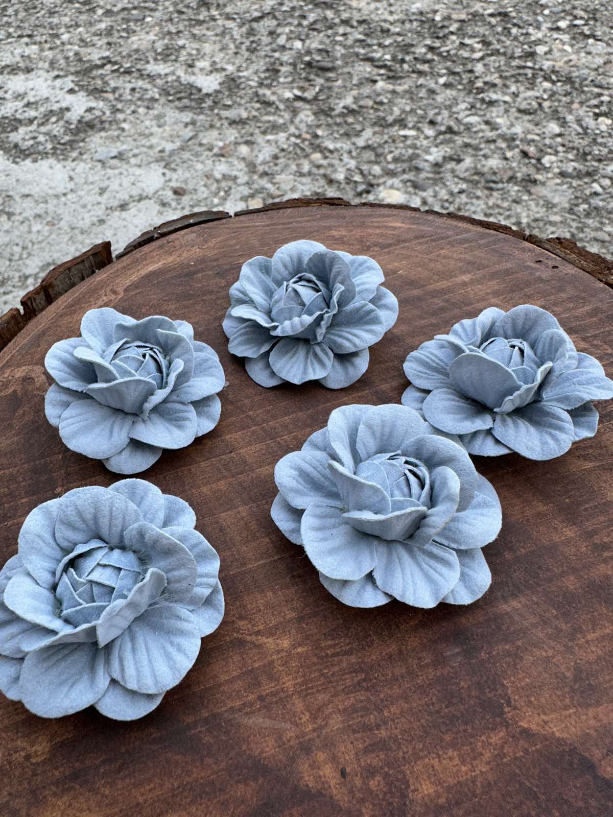 Разцъфнала розичка главичка