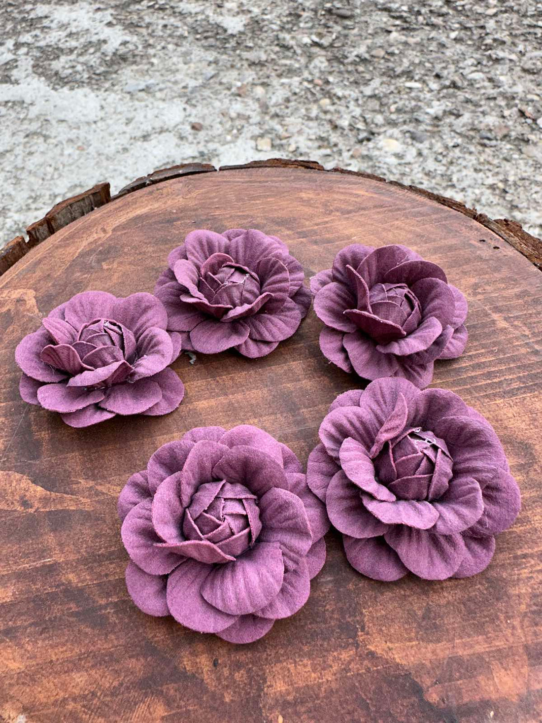 Разцъфнала розичка главичка