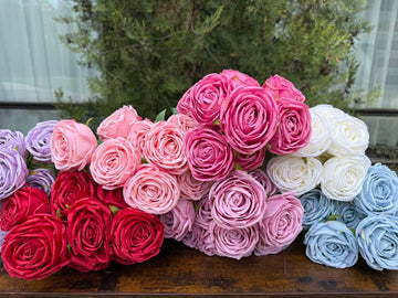 Роза 9 глави