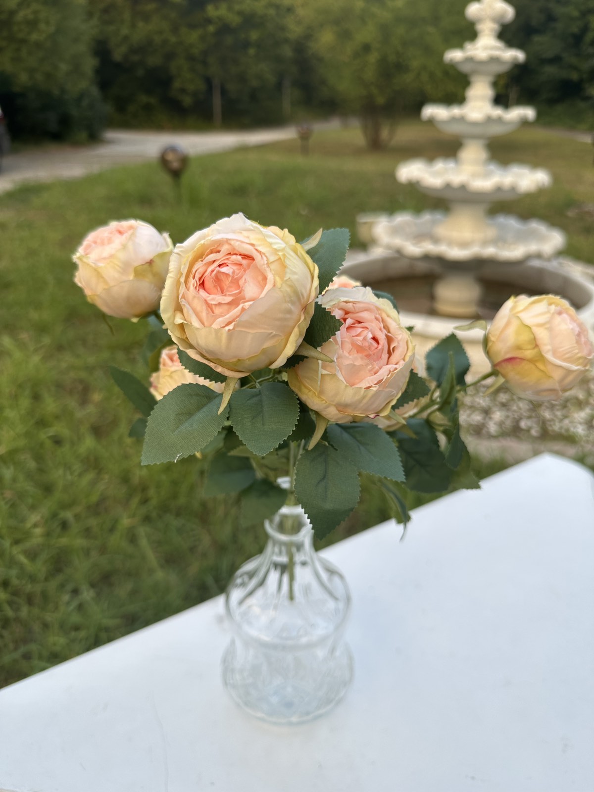 Роза вувузела св.праскова