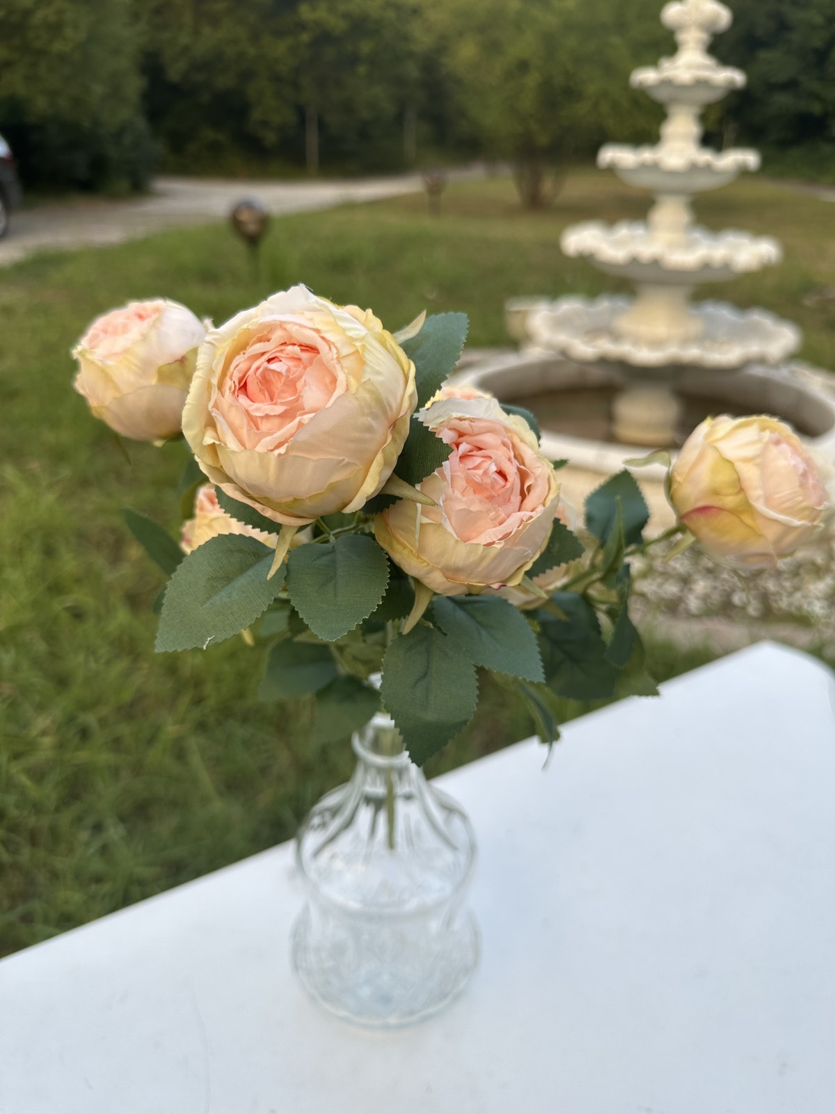 Роза вувузела св.праскова