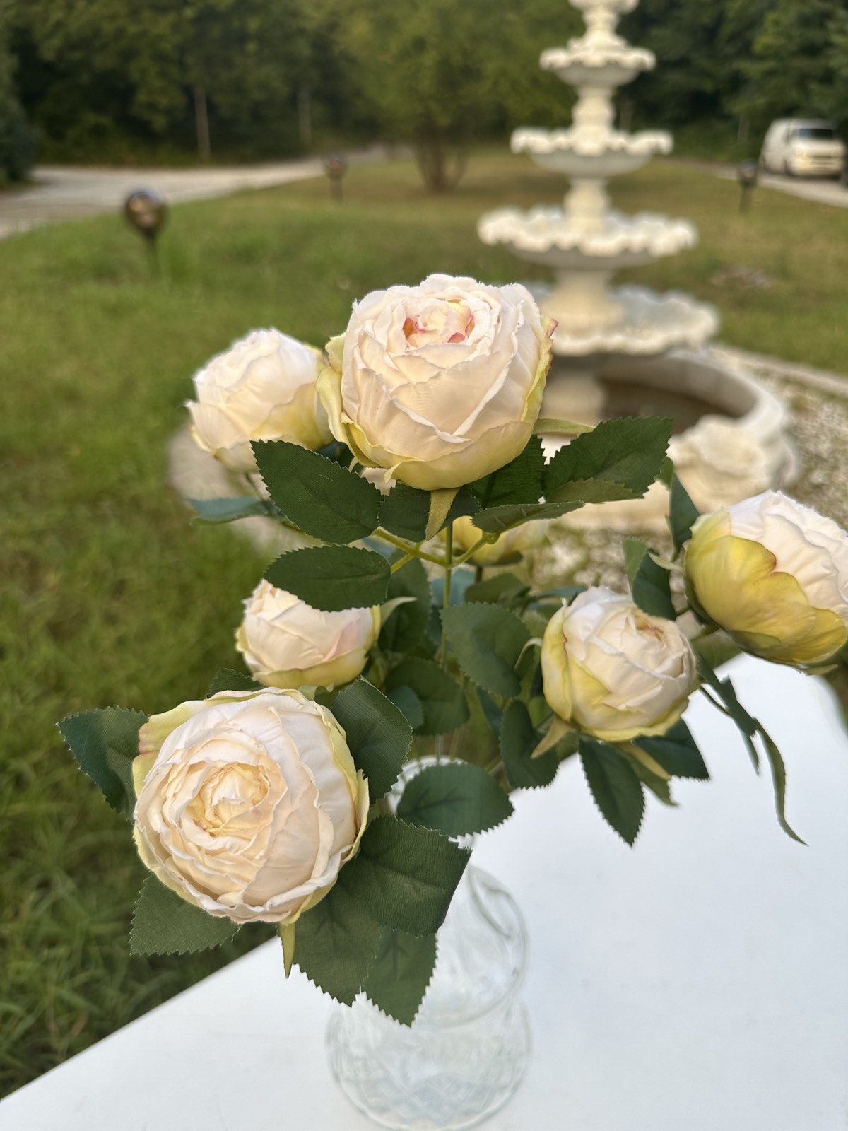 Роза вувузела пудра