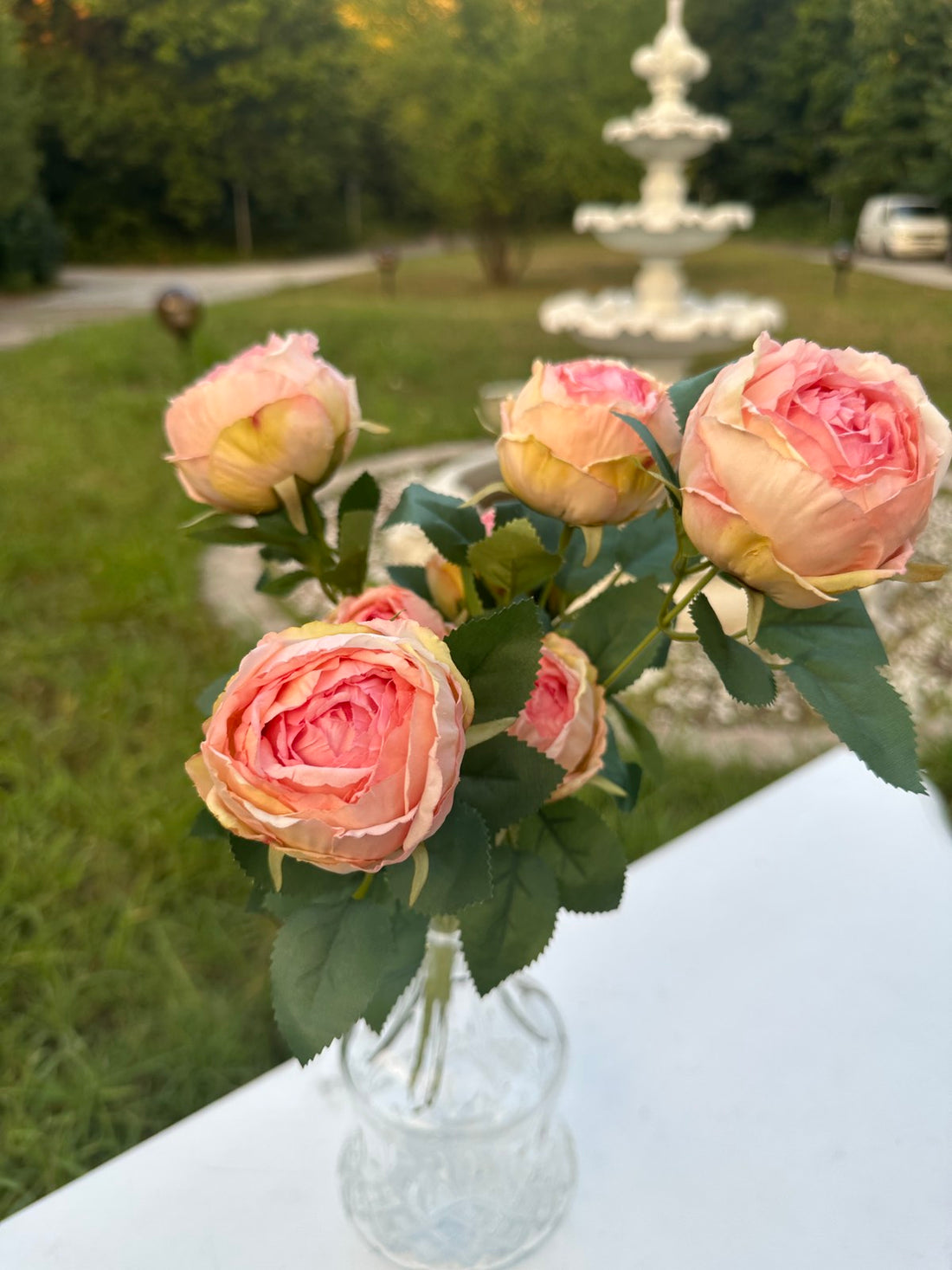 Роза вувузела св.розово