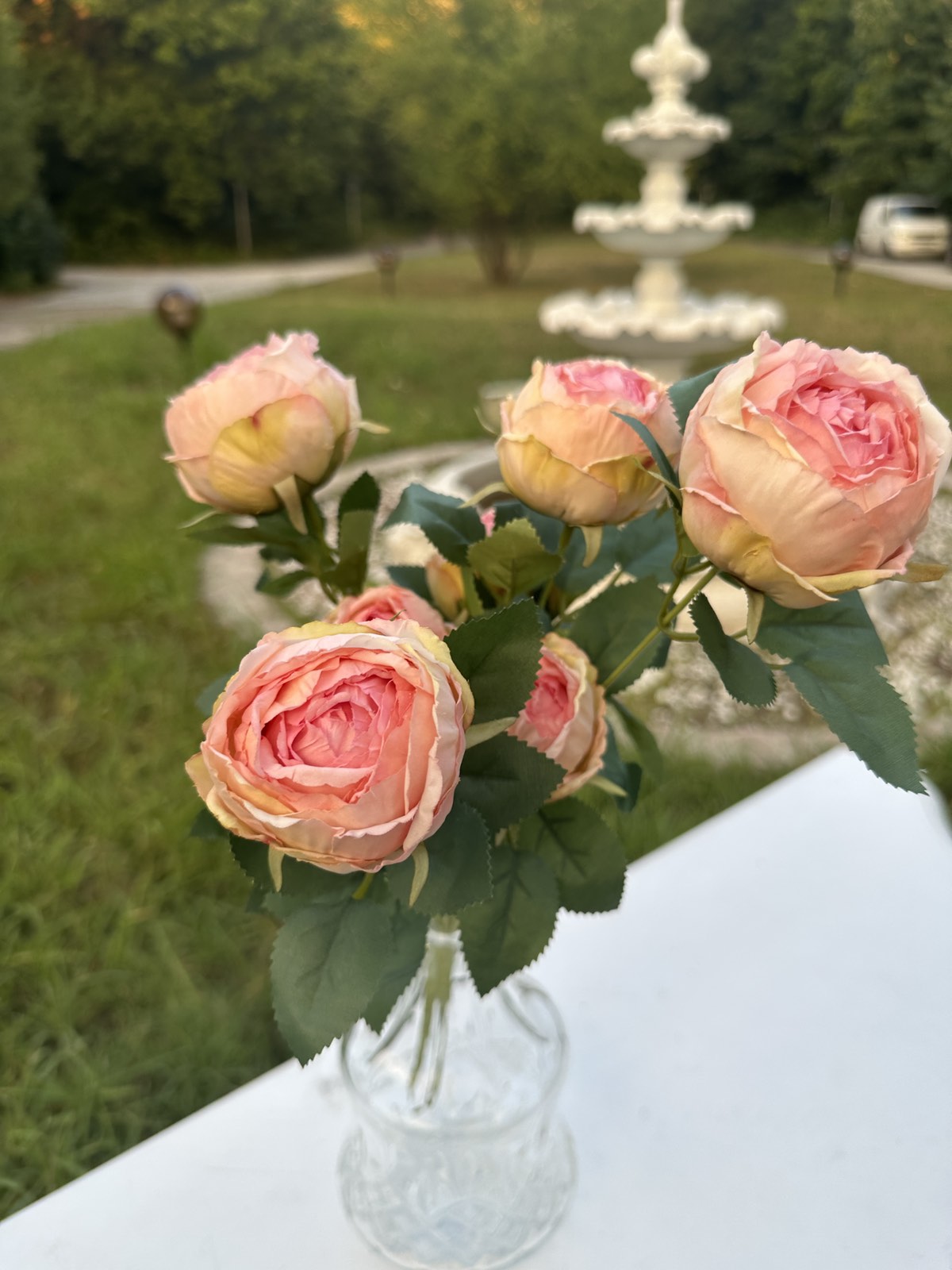 Роза вувузела св.розово