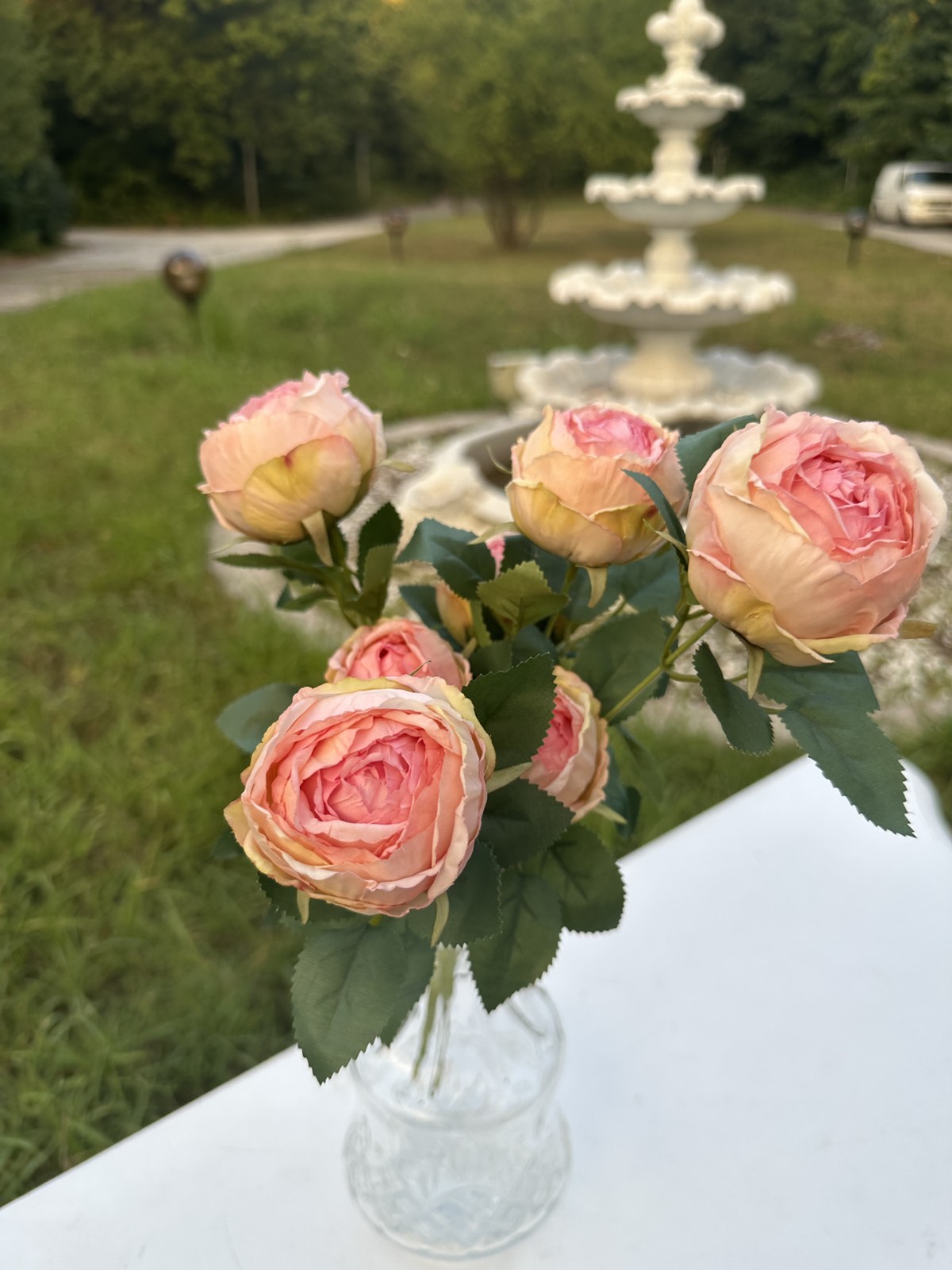 Роза вувузела св.розово