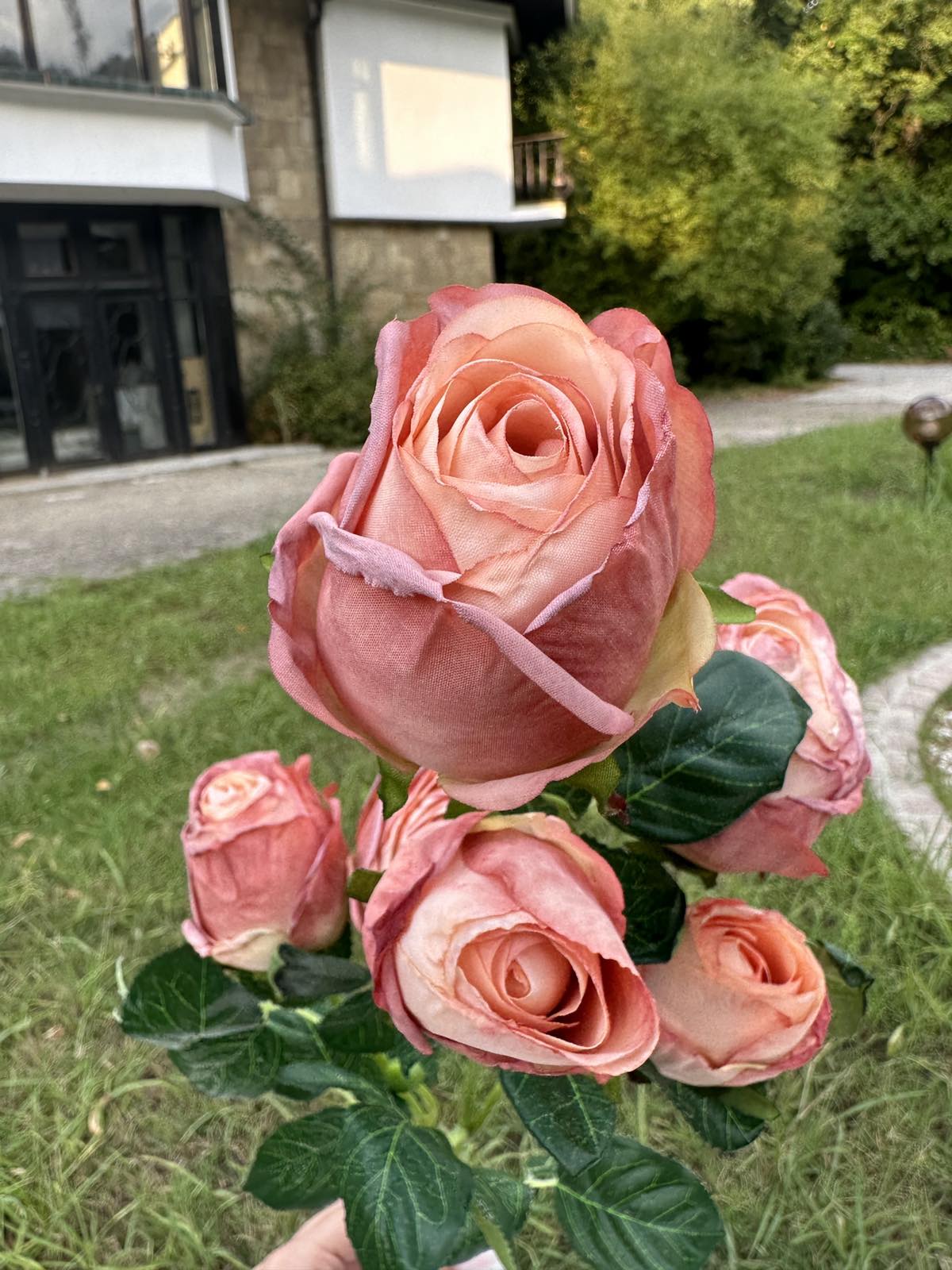 Роза с дълга дръжка