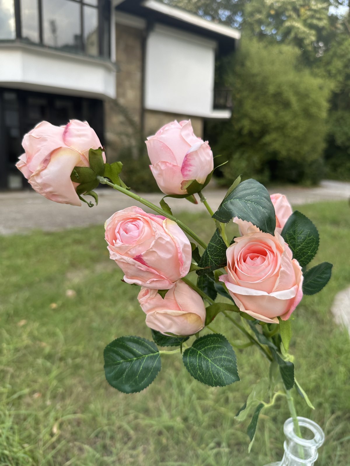 Роза с дълга дръжка