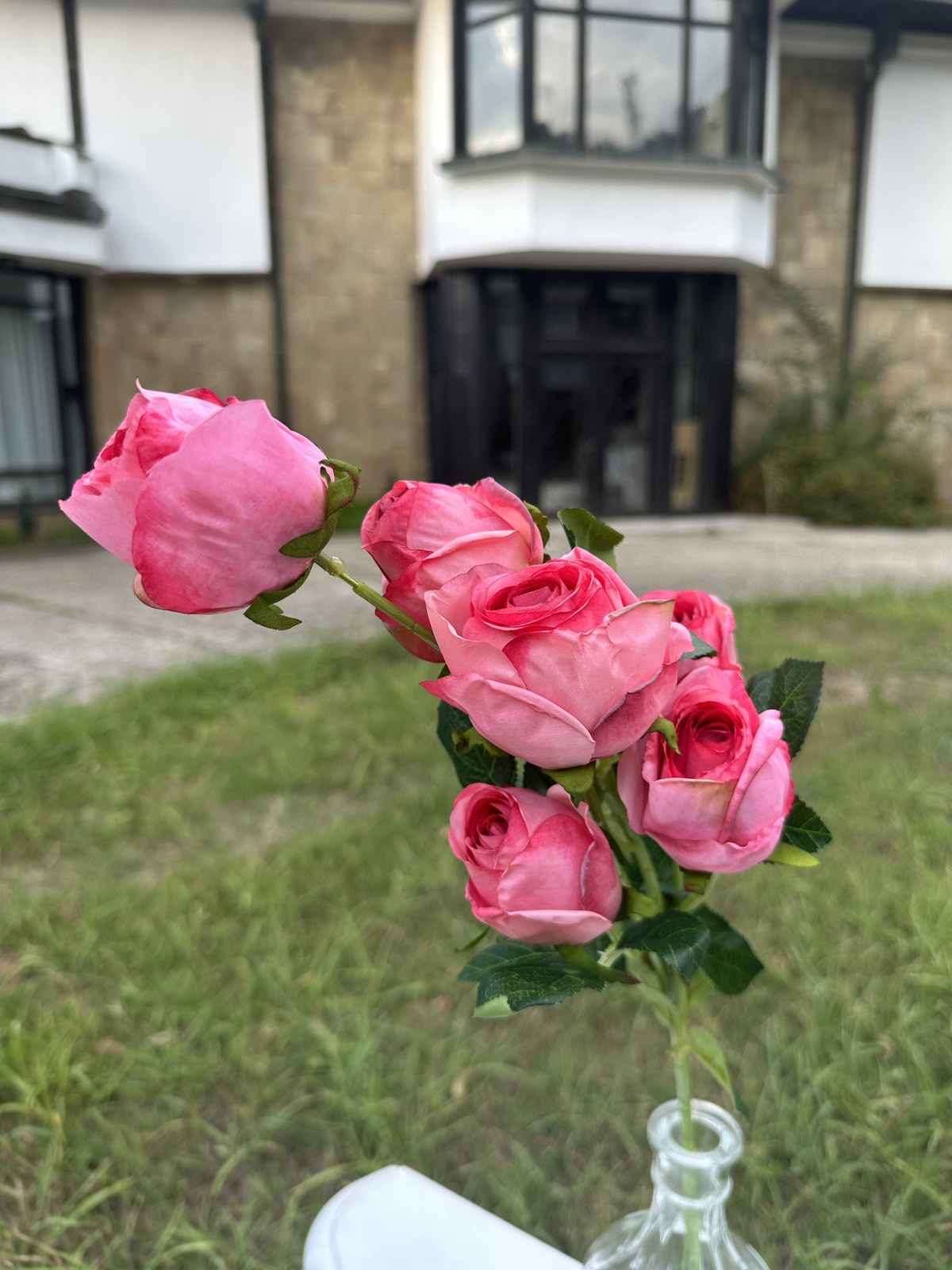 Роза с дълга дръжка