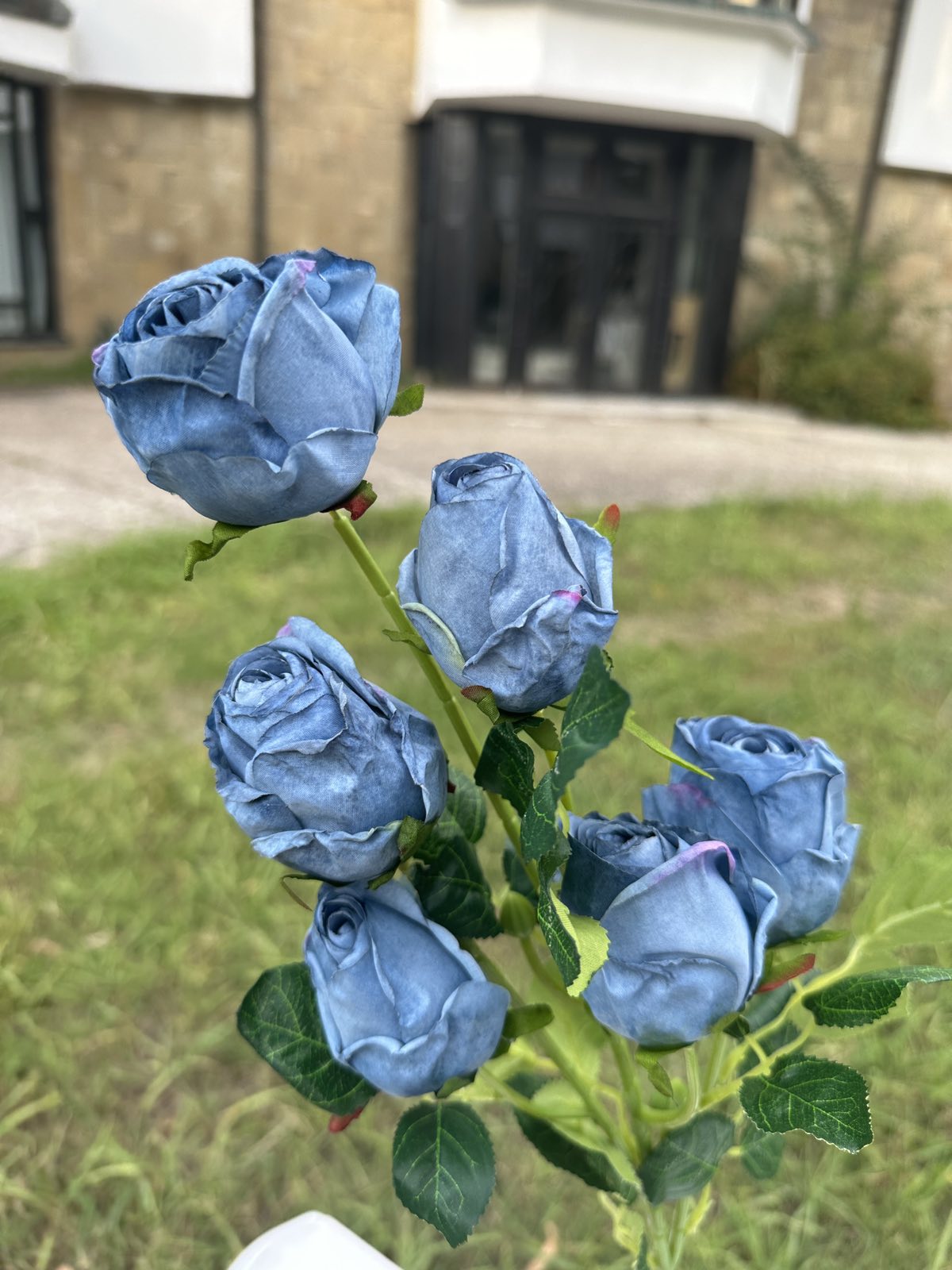 Роза с дълга дръжка