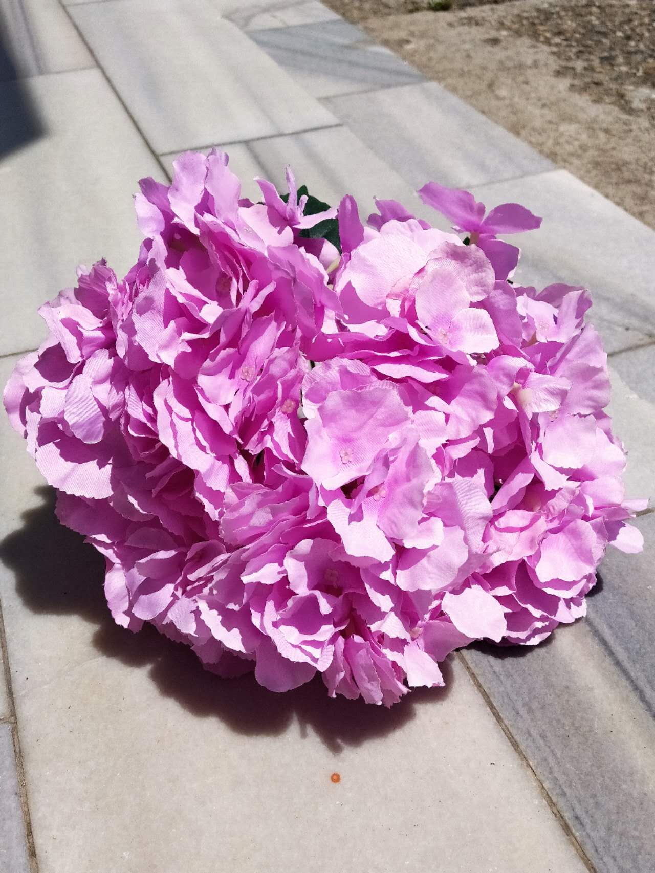 Едра розова хортензия