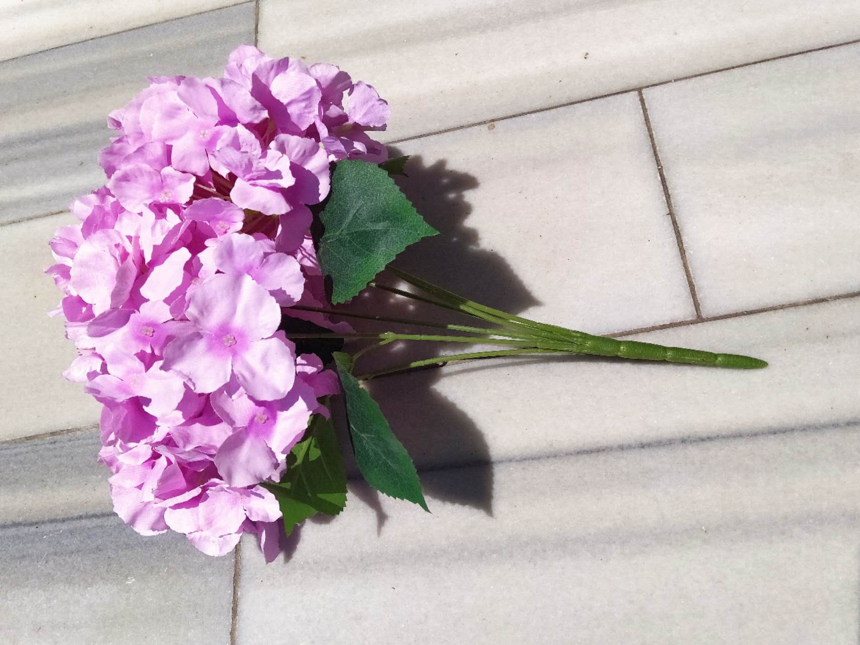 Едра розова хортензия