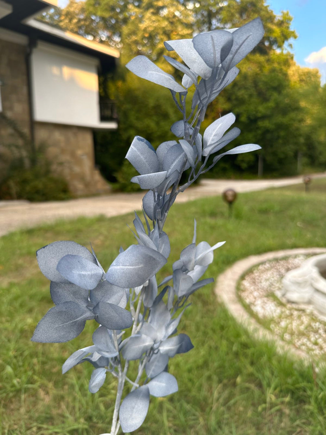 Сини листенца