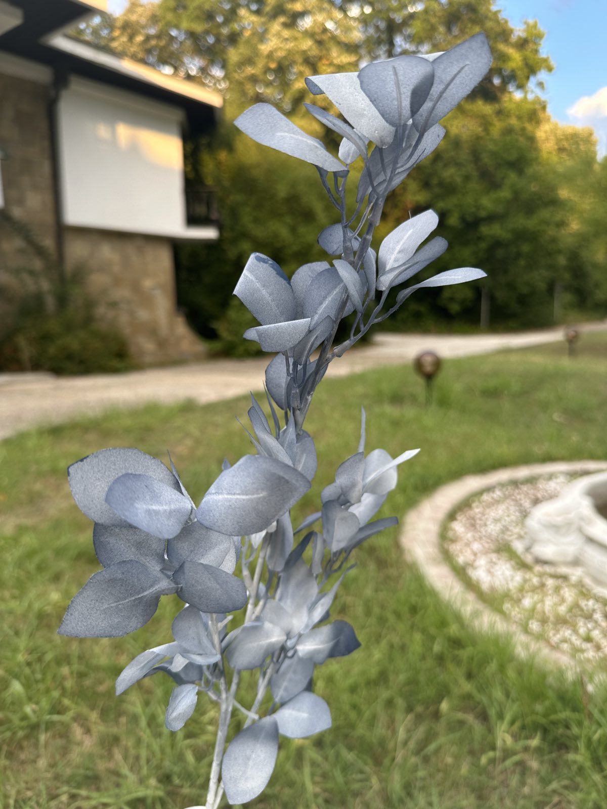 Сини листенца