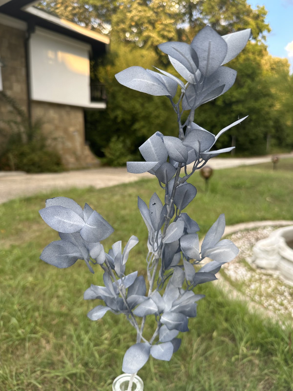 Сини листенца