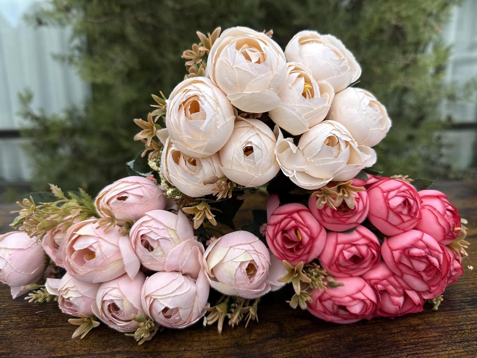 Средни божури 3 разцветки