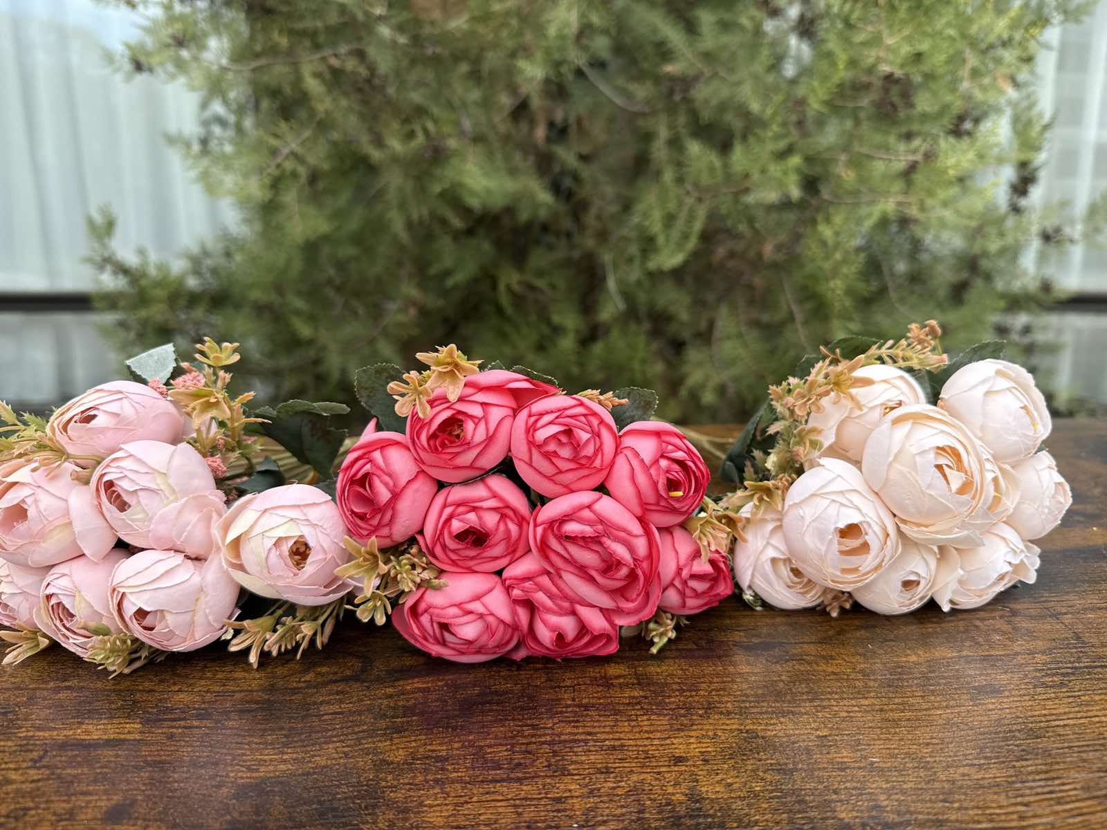 Средни божури 3 разцветки