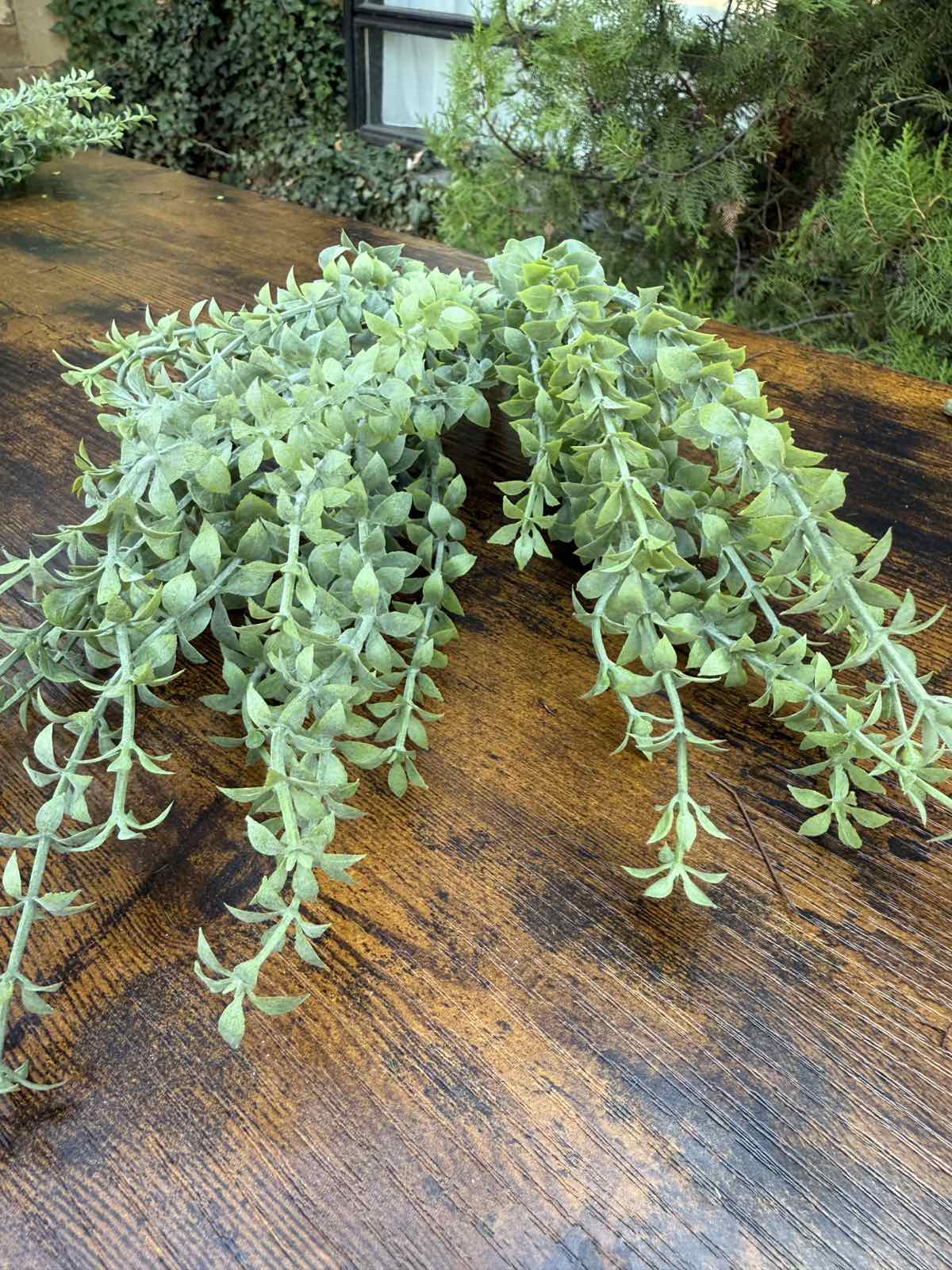 Зеленина воден кресон