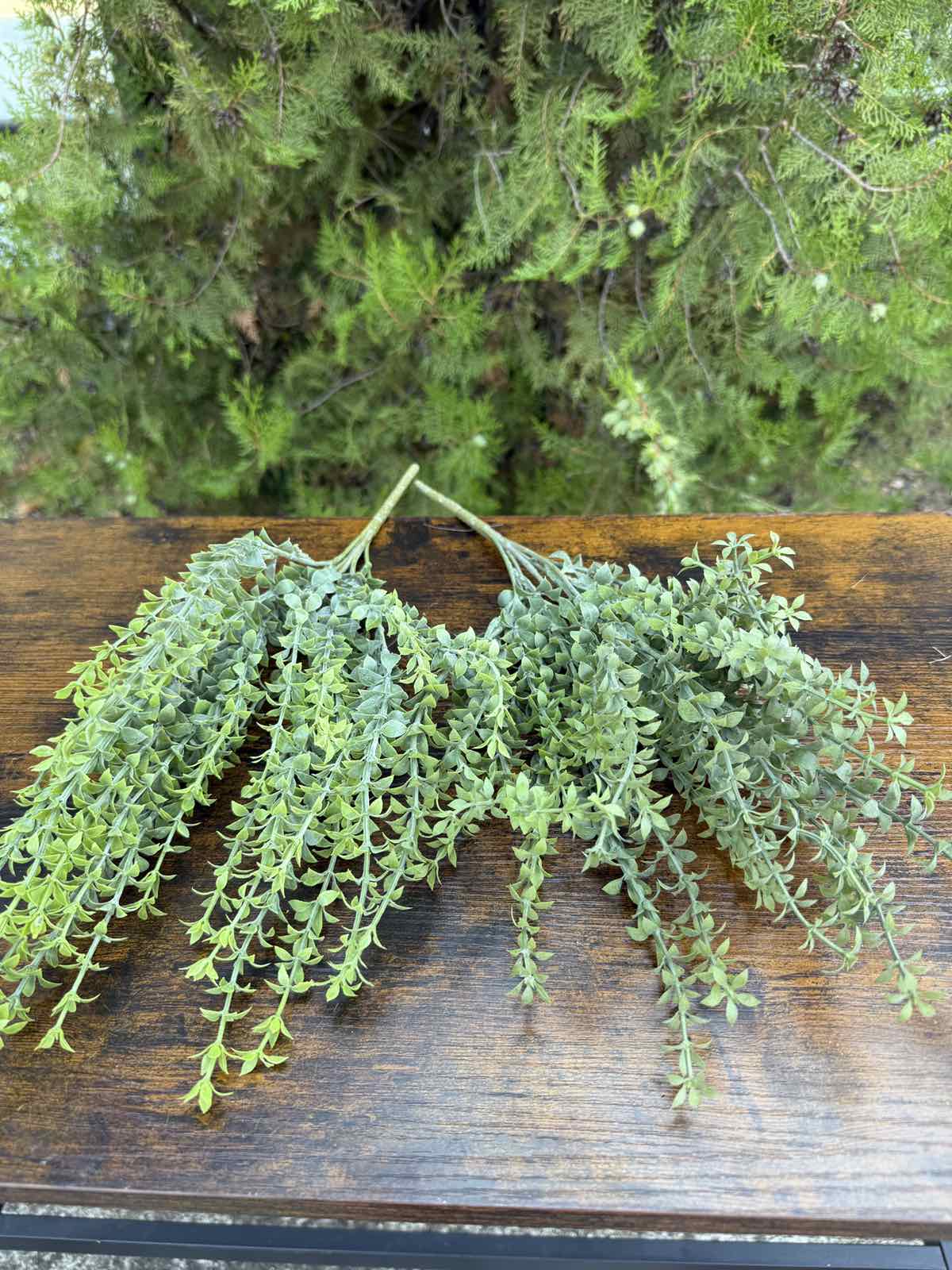 Зеленина воден кресон